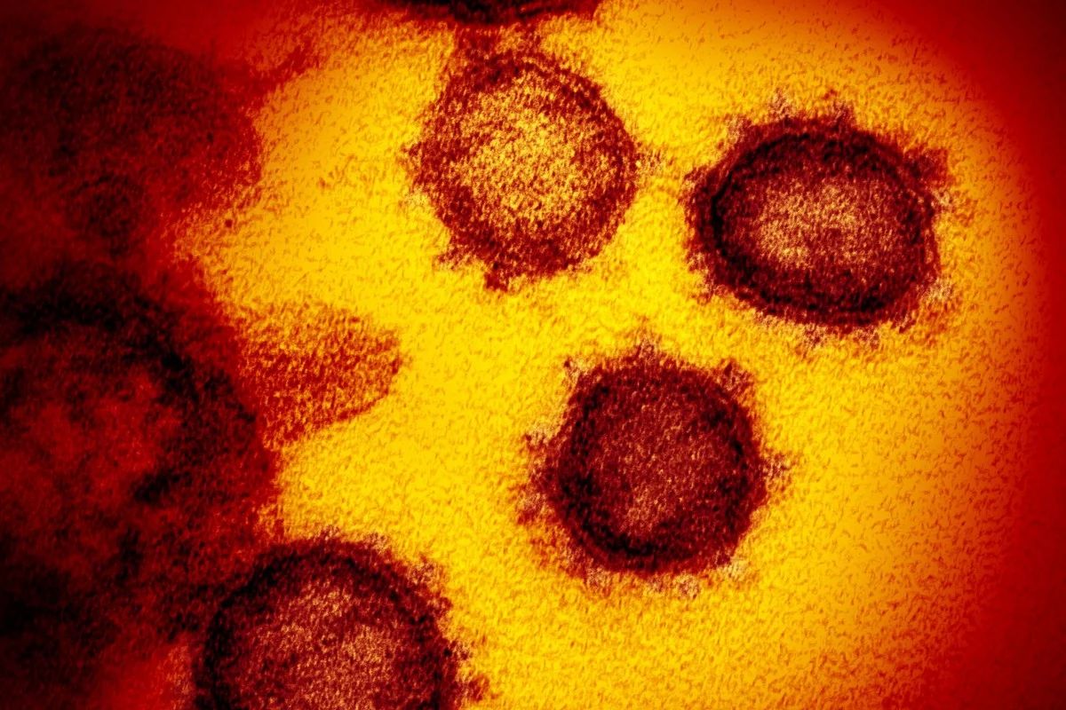 “South China Morning Post”: Коронавирус има 1.000 пута већу споспобност од САРС-а да се веже за људске ћелије - мутације сличне онима који су пронађене у ХИВ-у и Еболи
