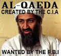 The Imperial Anatomy of Al-Qaeda