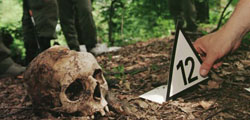 A Finnish forensic expert places a number next to the skull of a Srebrenica victim found in the hills above the village of Kravice near the Bosnian town where the massacre took place. 